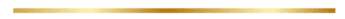 aesthetic golden line free png